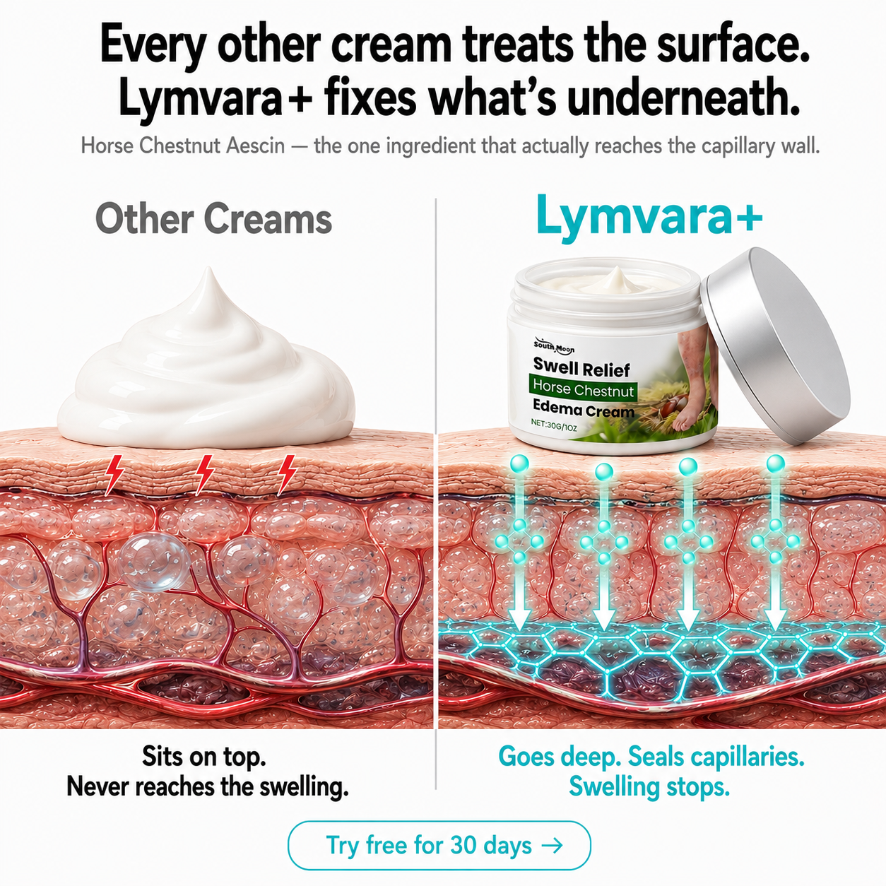 Beltwell® Lymzera+ Horse Chestnut Anti Swelling & Vein Complex